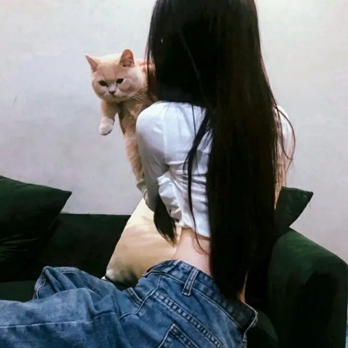 赛狗奇缘